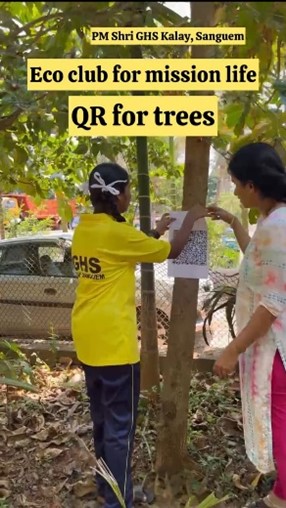 Eco Club Activity
